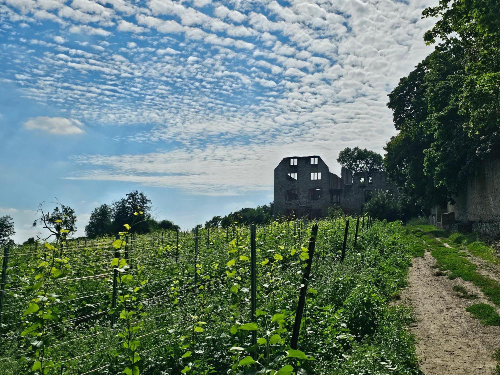 Moderne Doppelhaushaelfte In Oppenheim Villa Exterior photo